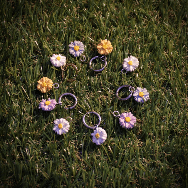 Petites Aster - Argenté