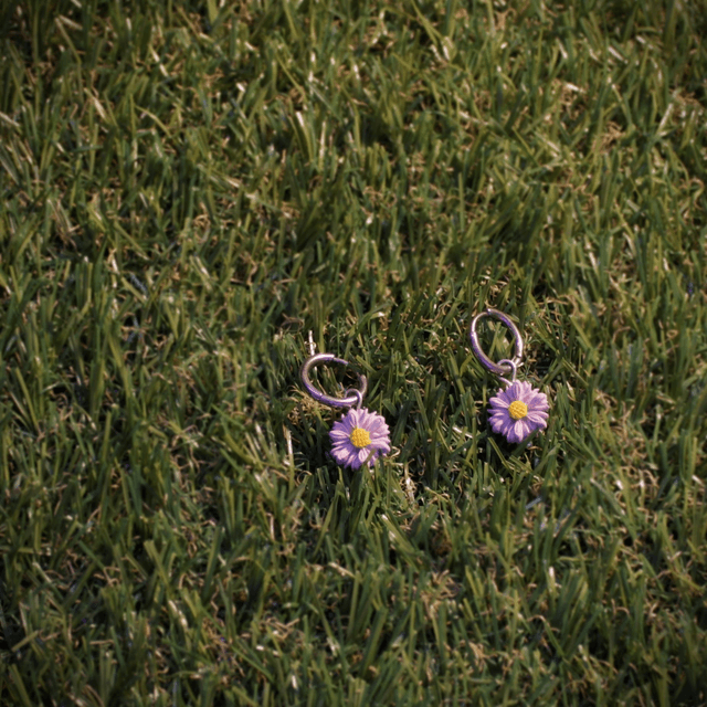 Petites Aster - Argenté