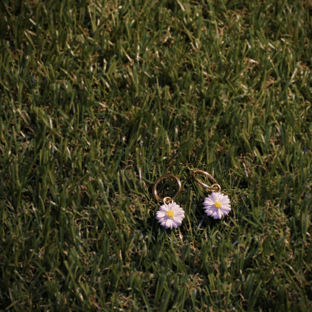 Petites Anthemis - Doré