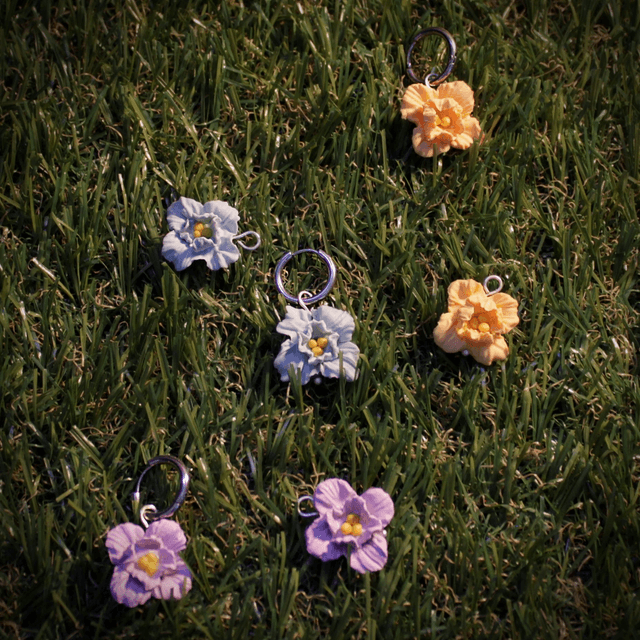 Moyennes Myosotis - Argenté